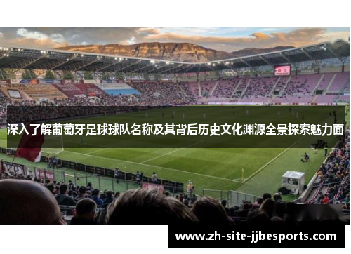 深入了解葡萄牙足球球队名称及其背后历史文化渊源全景探索魅力面